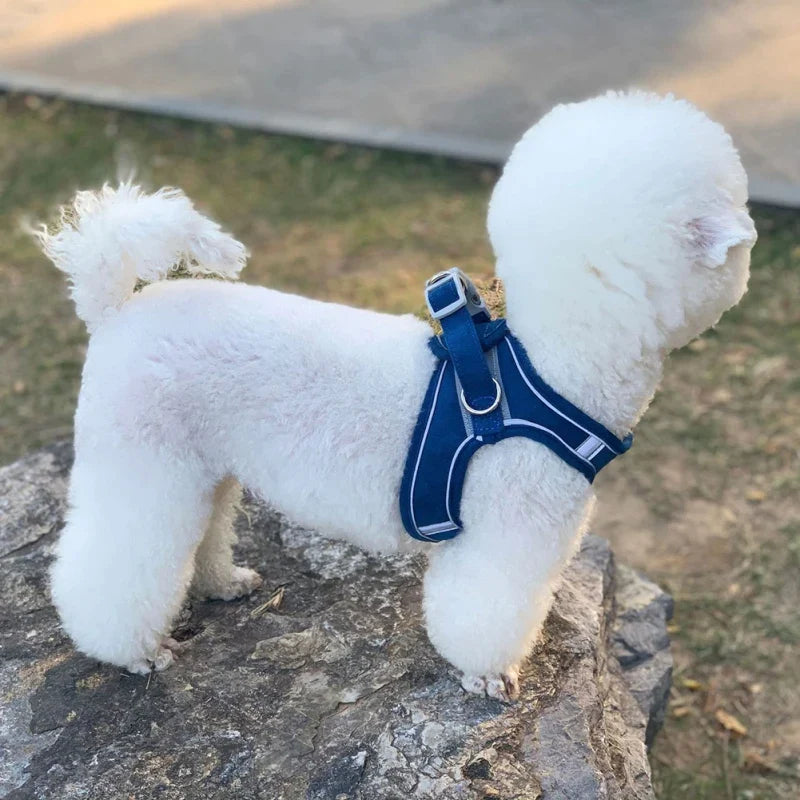 Soft Reflective Dog Harness Set - Aqua