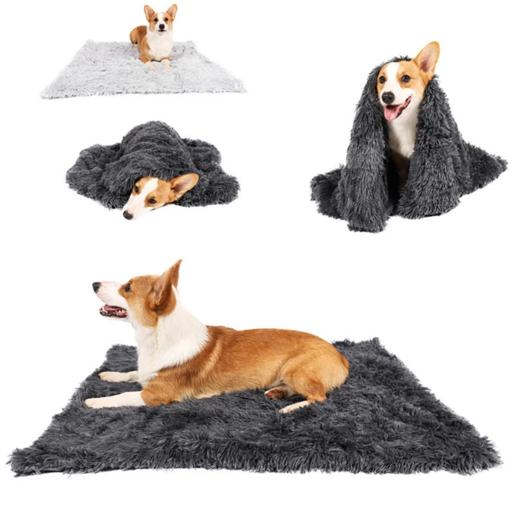 Fluffy Pup Blanket