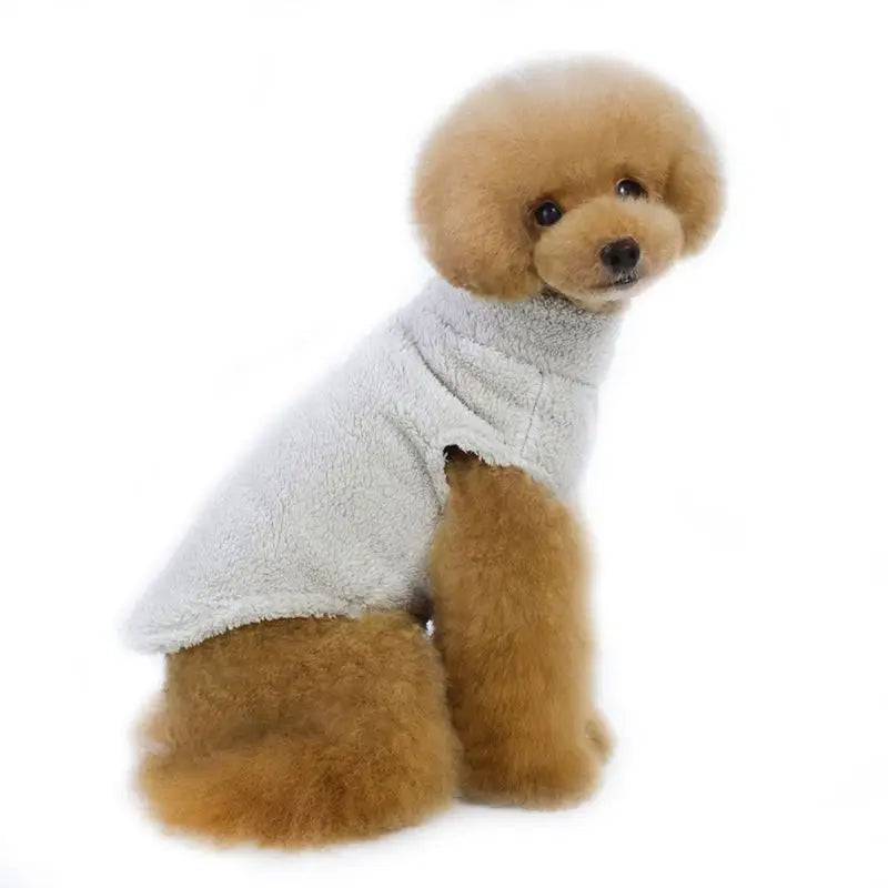 Winter Warm Dog Coat