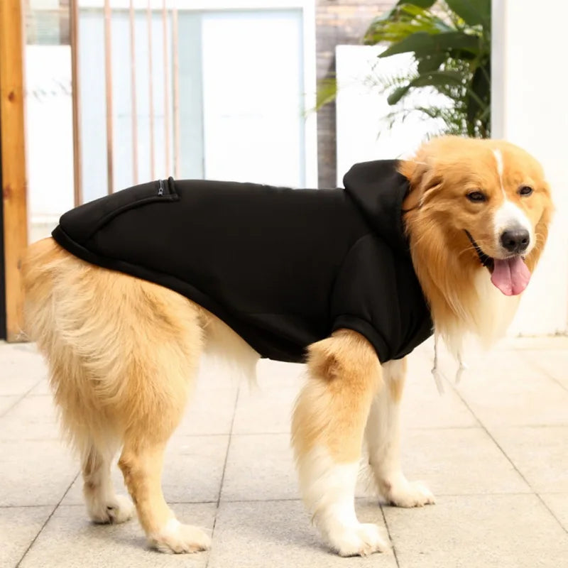 Comfy Dog Hoodie