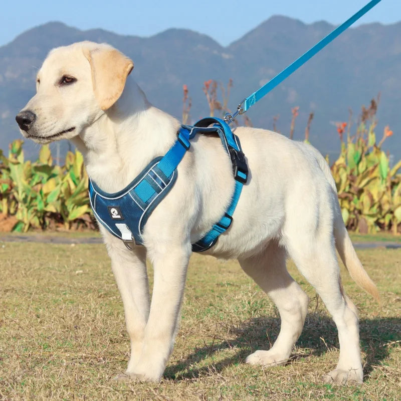 No-Pull Reflective Dog Harness - Blue